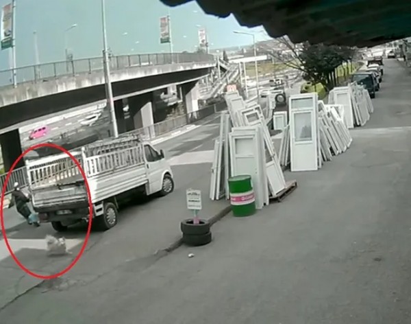 Üniversiteli Cennet Yaşam Savaşı Veriyor! Sokak Köpeğinden Kaçtığı Sırada Otobüs Çarptı